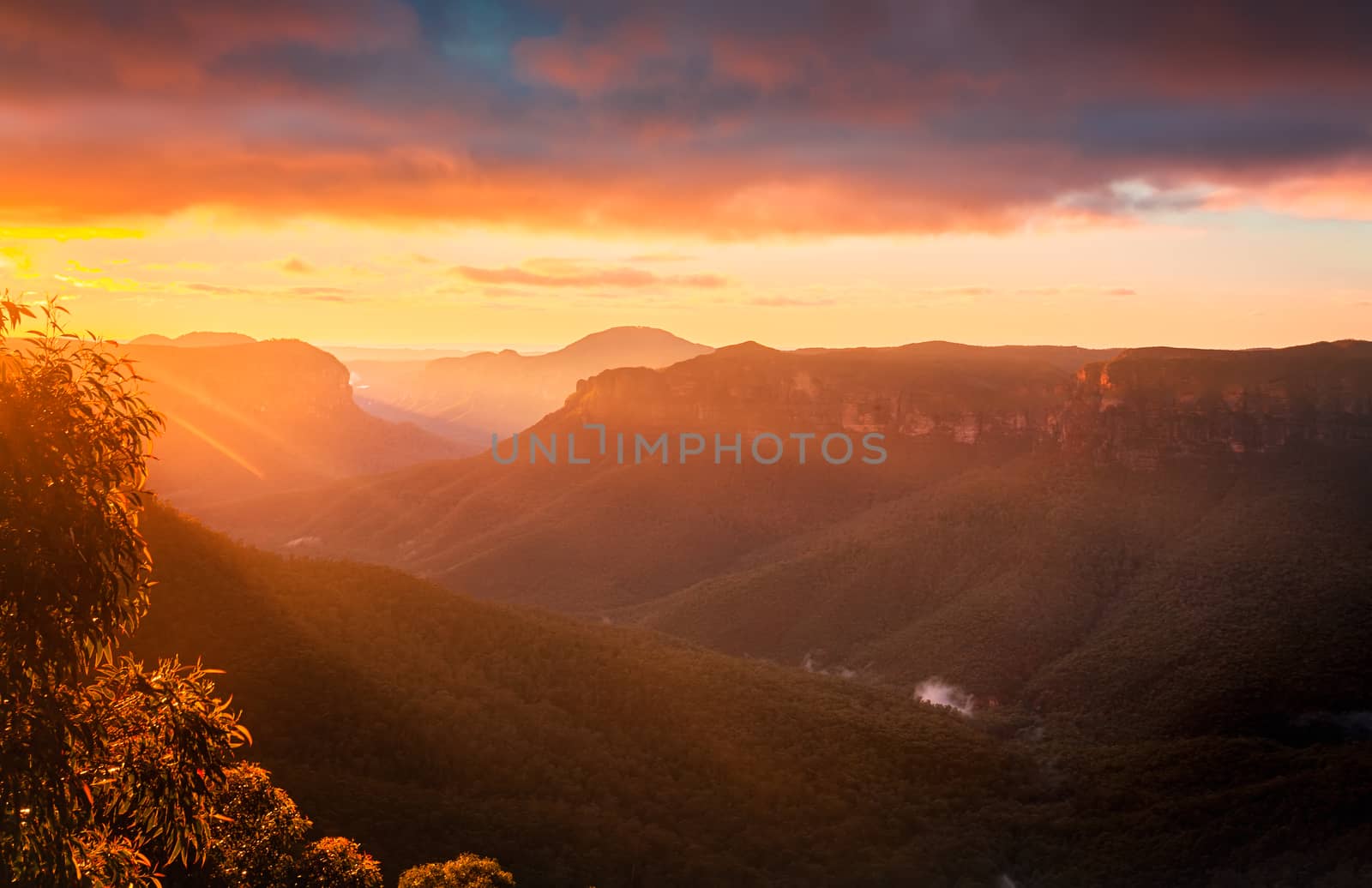 Sun rays into Grose Valley Blue Mountains just after sunrise by lovleah