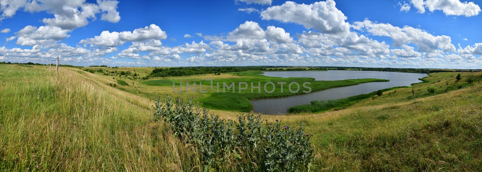 Beautiful summer rural landscape with a lake by olgavolodina
