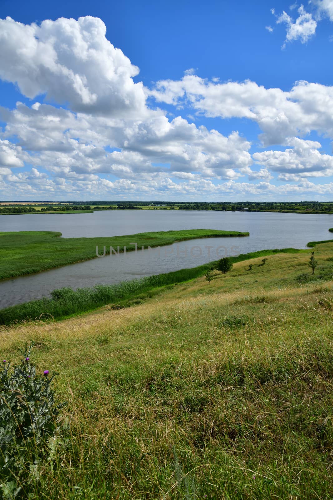 Beautiful summer rural landscape with a lake by olgavolodina