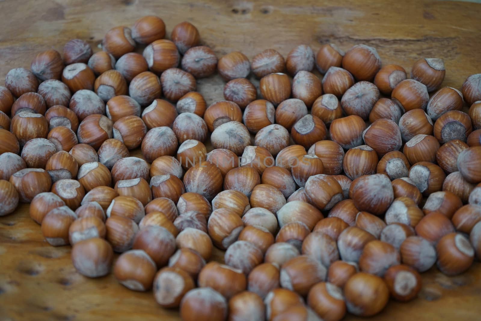 Group of hazelnuts by cosca