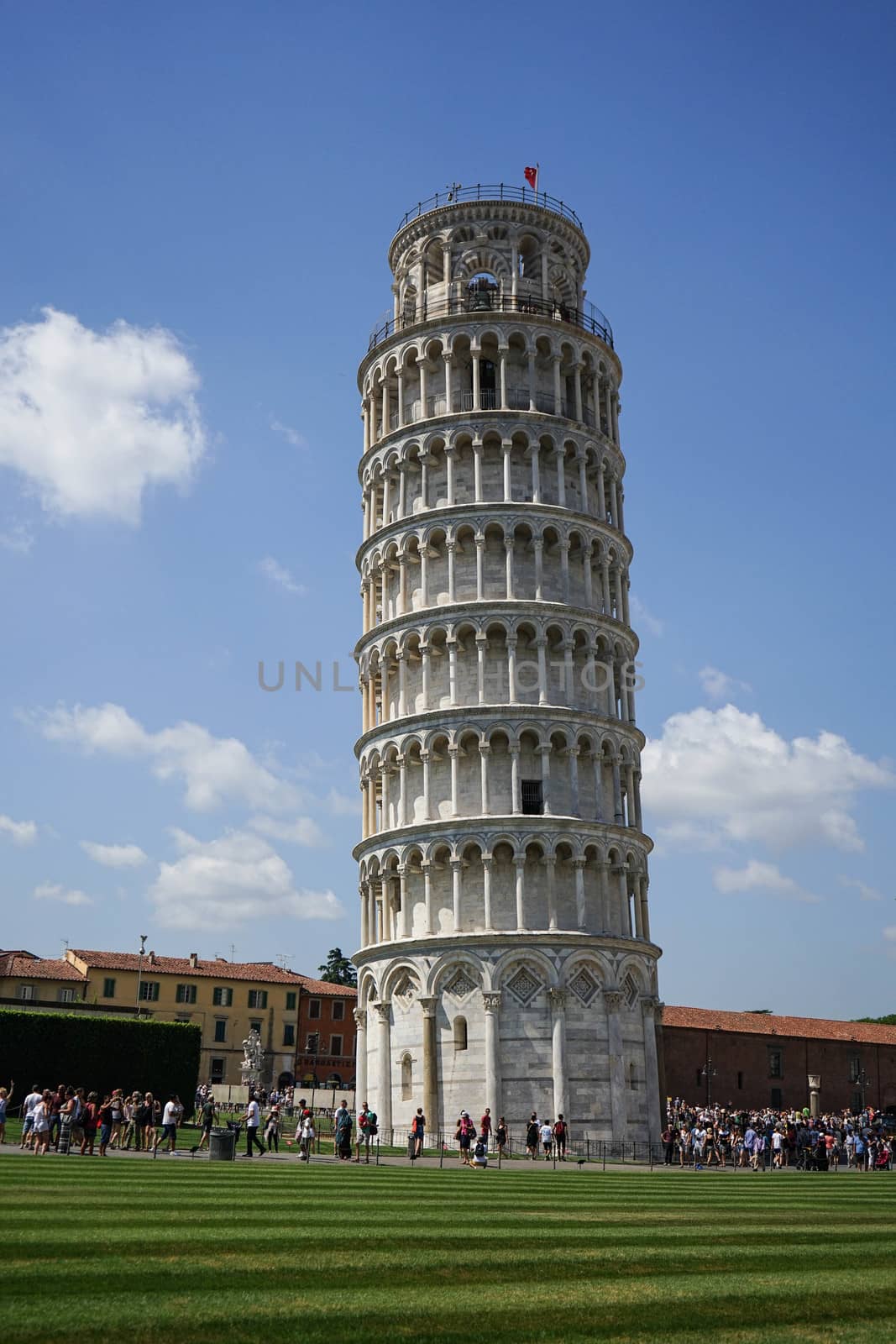 The leaning tower of Pisa, Tuscany - Italy by cosca