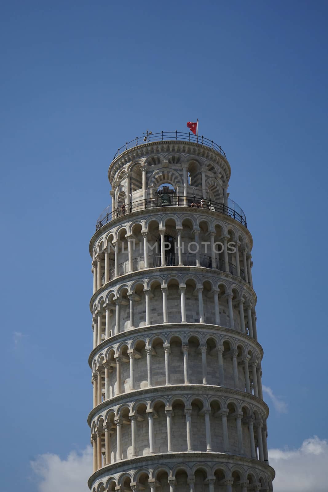 The leaning tower of Pisa, Tuscany - Italy by cosca