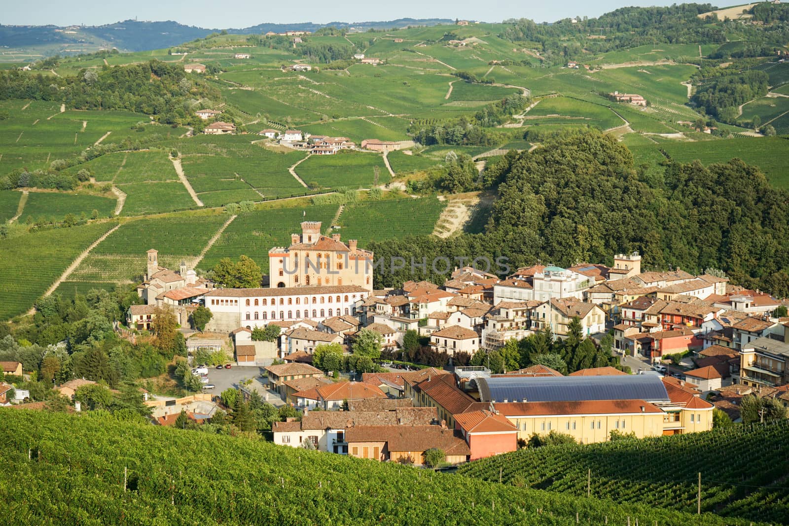 View of Barolo in Langhe Hills by cosca