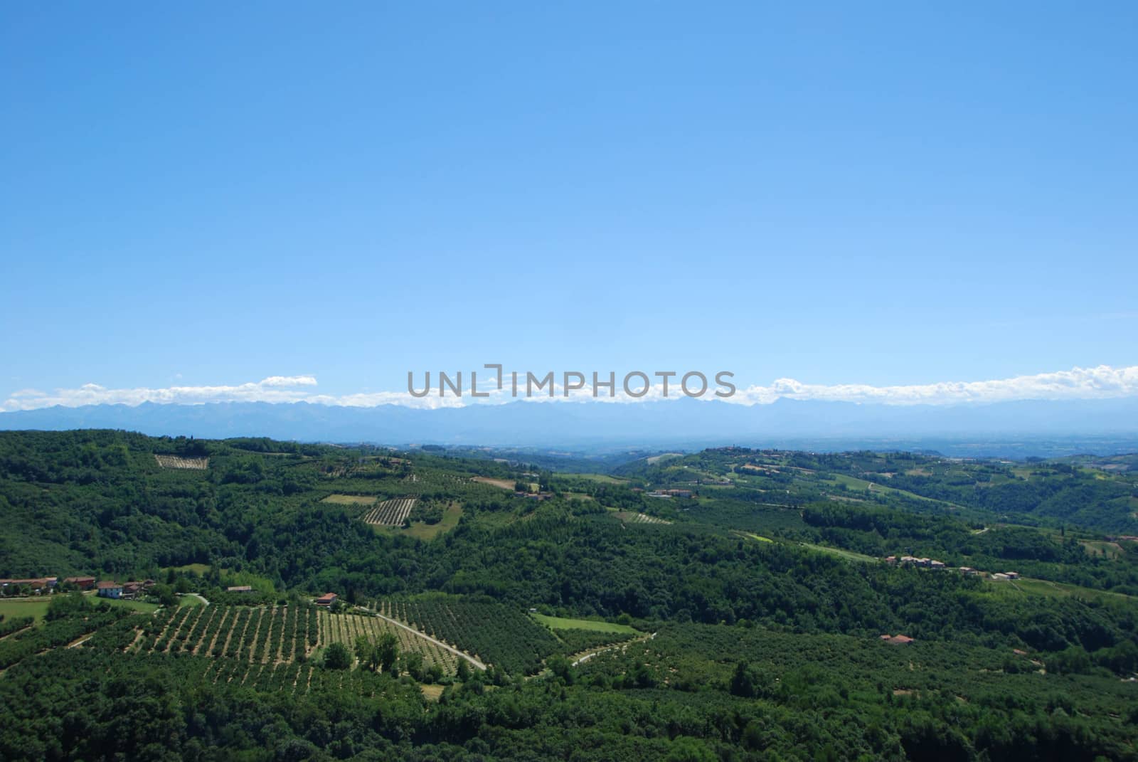 Langa hills around Albaretto Torre, Piedmont - Italy