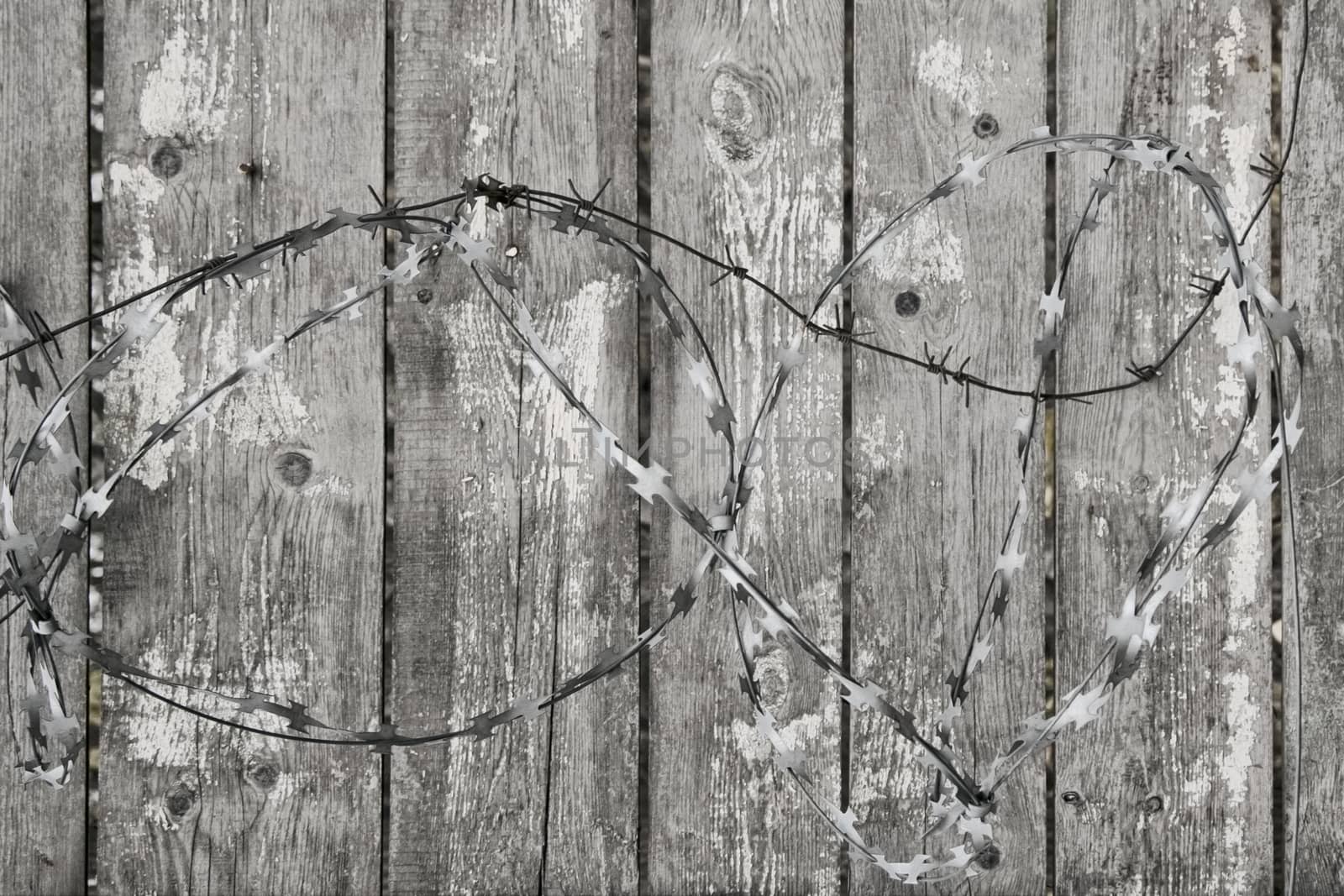 Fence wooden gray with the peeled-off white paint and with a barbed wire