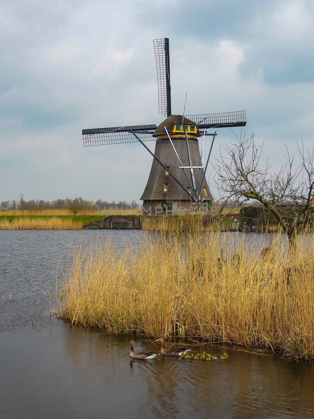 Netherlands rural landscape with windmills and canal by simpleBE