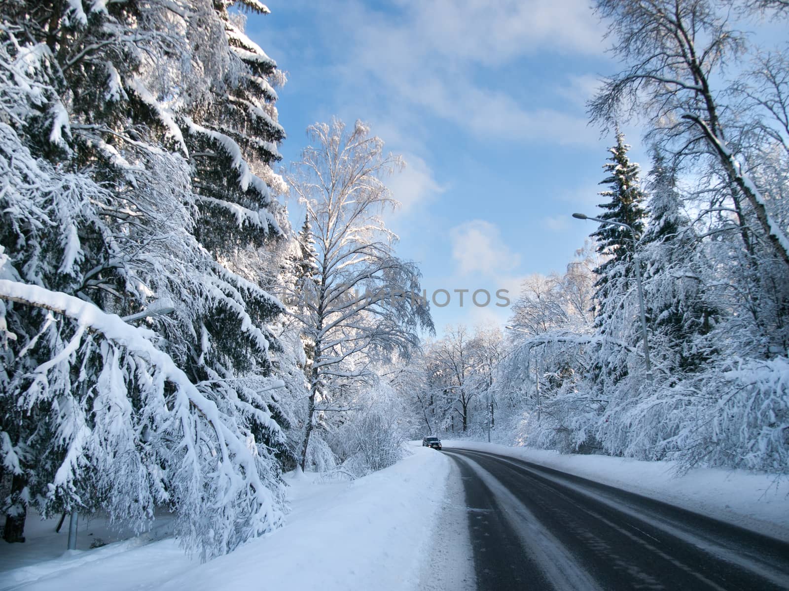Winter road in a forest by Alex_L