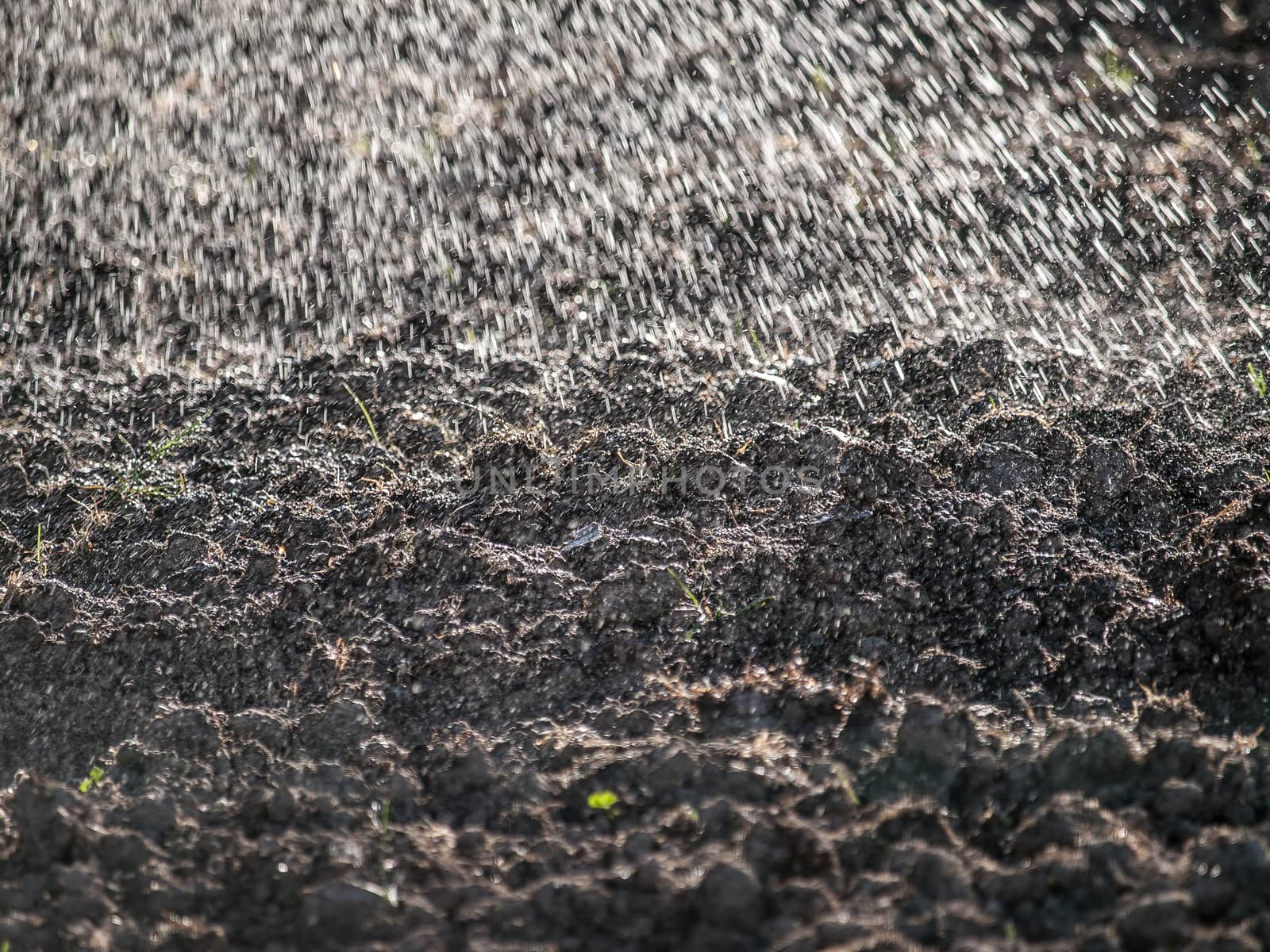 Spraying water over cultivated land by Alex_L