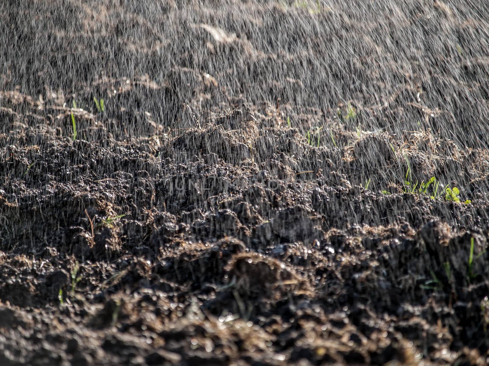 Sprayed drops of water falling on cultivated land like rain