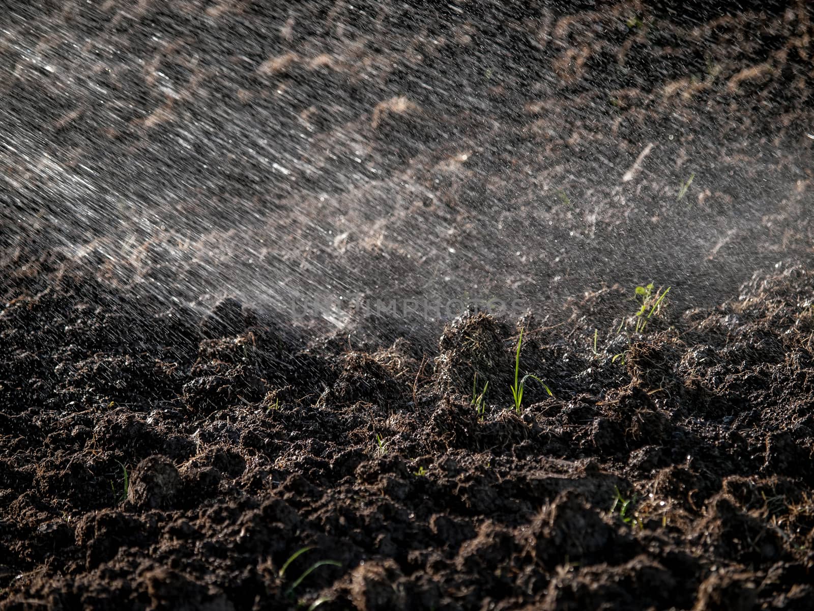 Sprayed drops of water falling on cultivated land like rain