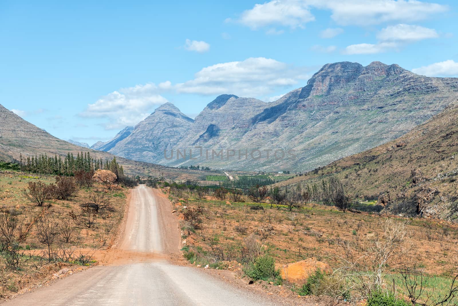A road landscape near Keurbos in the Cederberg Mountains of the Western Cape Province of South Africa