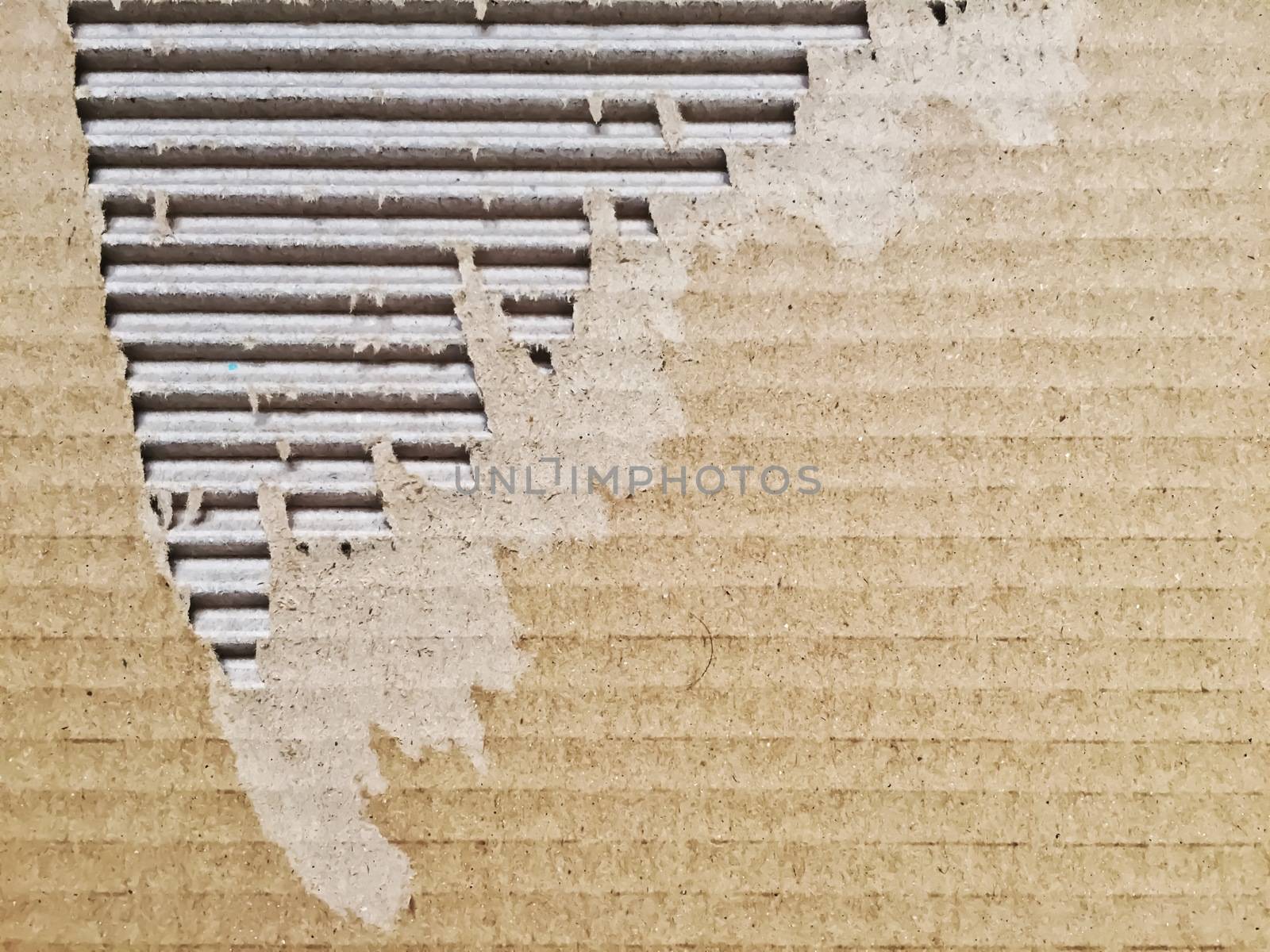 close-up view of a ripped cardboard. Packaging and cardboard box