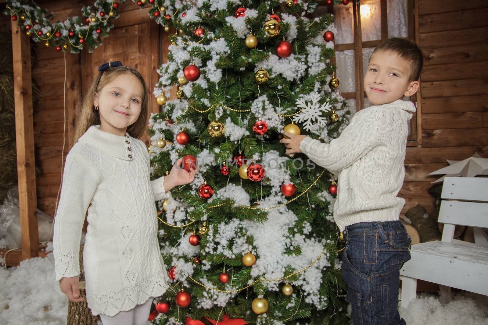 Sister and brother decorating Christmas tree in studio