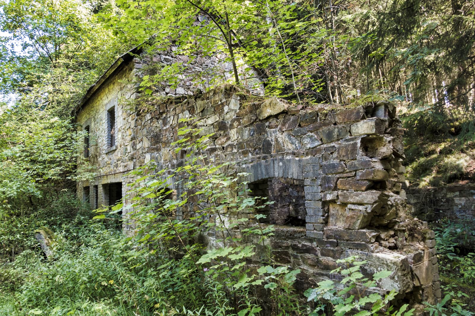 old dilapidated building in the forest overgrown by plants and shrubs