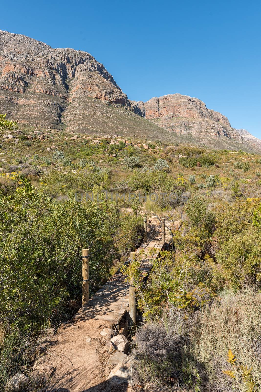 Pedestrian bridge on the trail to the Middelberg Waterfall at Algeria in the wilderness area of the Cederberg Mountains in the Western Cape Province of South Africa
