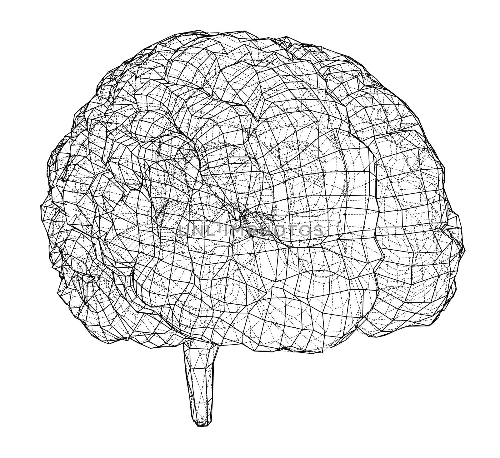 3D outline brain. Wire-frame style. 3d illustration