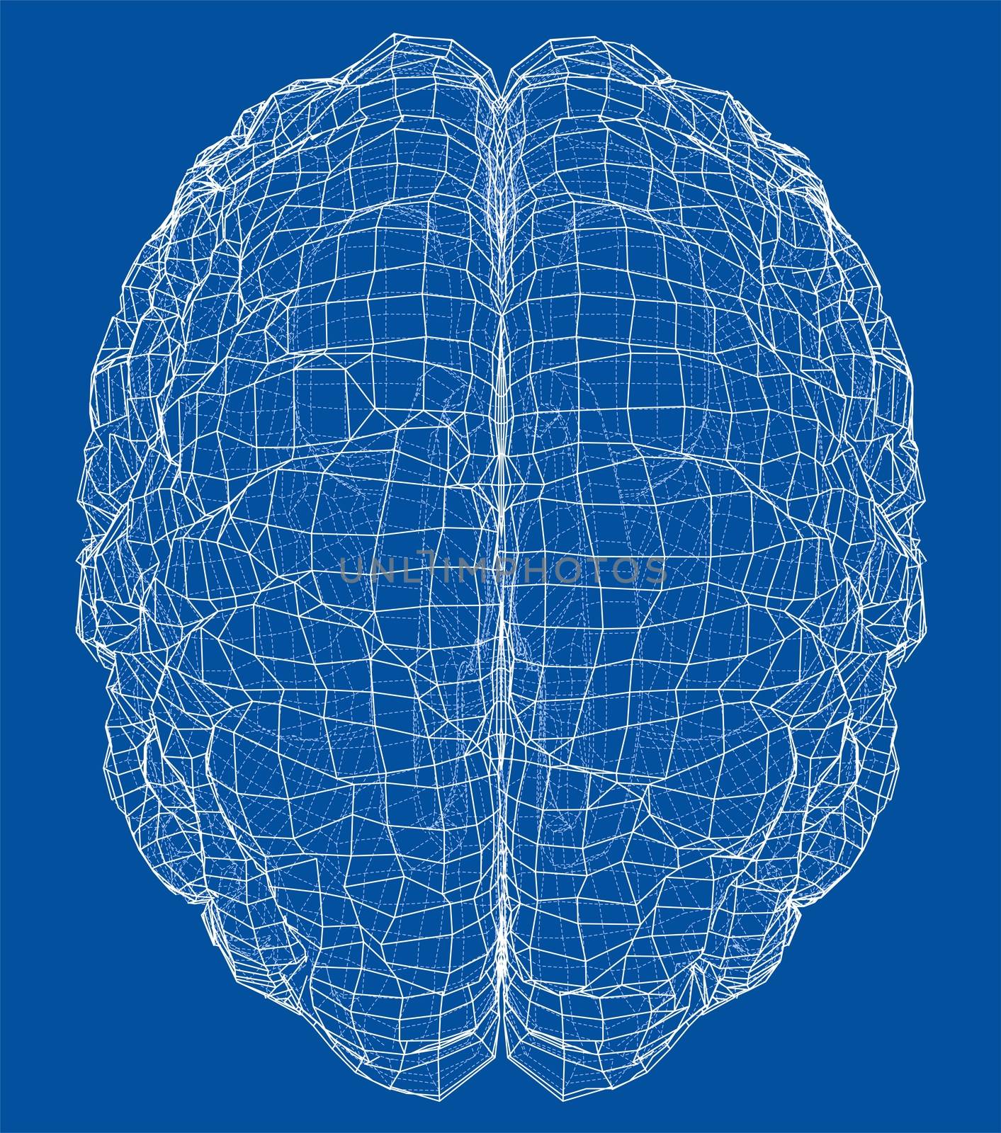 3D outline brain by cherezoff