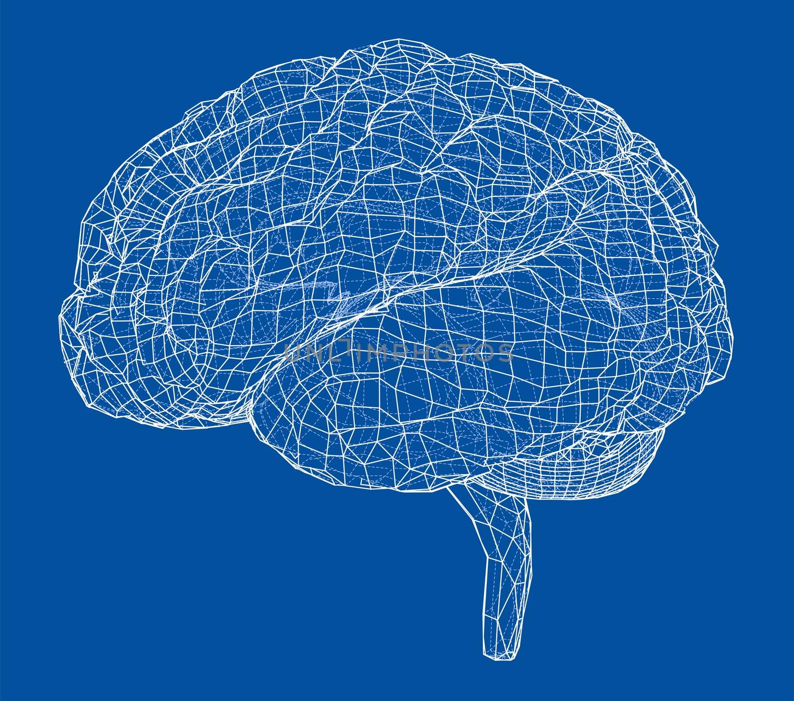 3D outline brain. Wire-frame style. 3d illustration