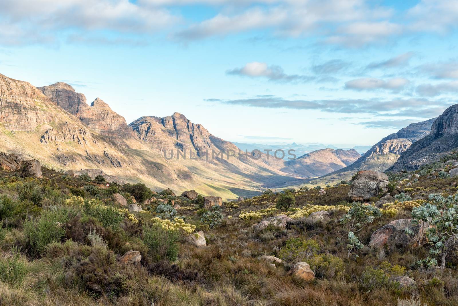 View from the Uitkyk Pass towards Algeria in the Cederberg Mountains in the Western Cape of South Africa. Wild flowers are visible