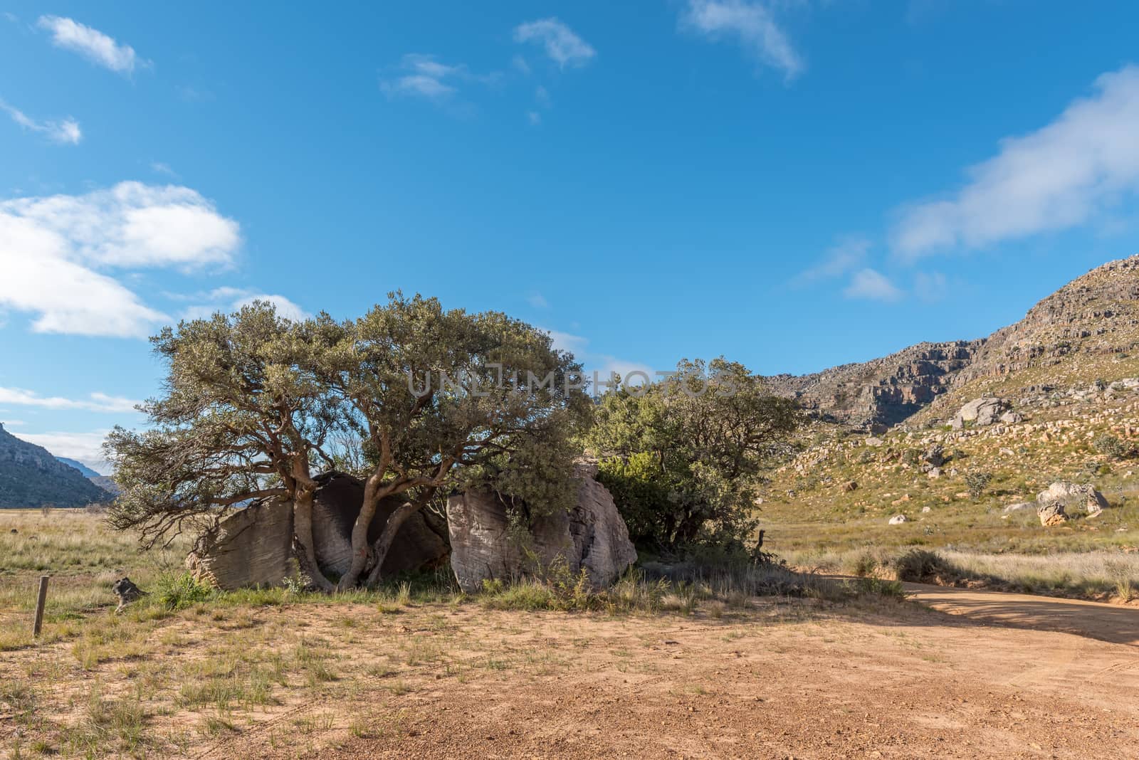 Malkop Se Kraal in the Uitkyk Pass in the Cederberg Mountains in the Western Cape of South Africa