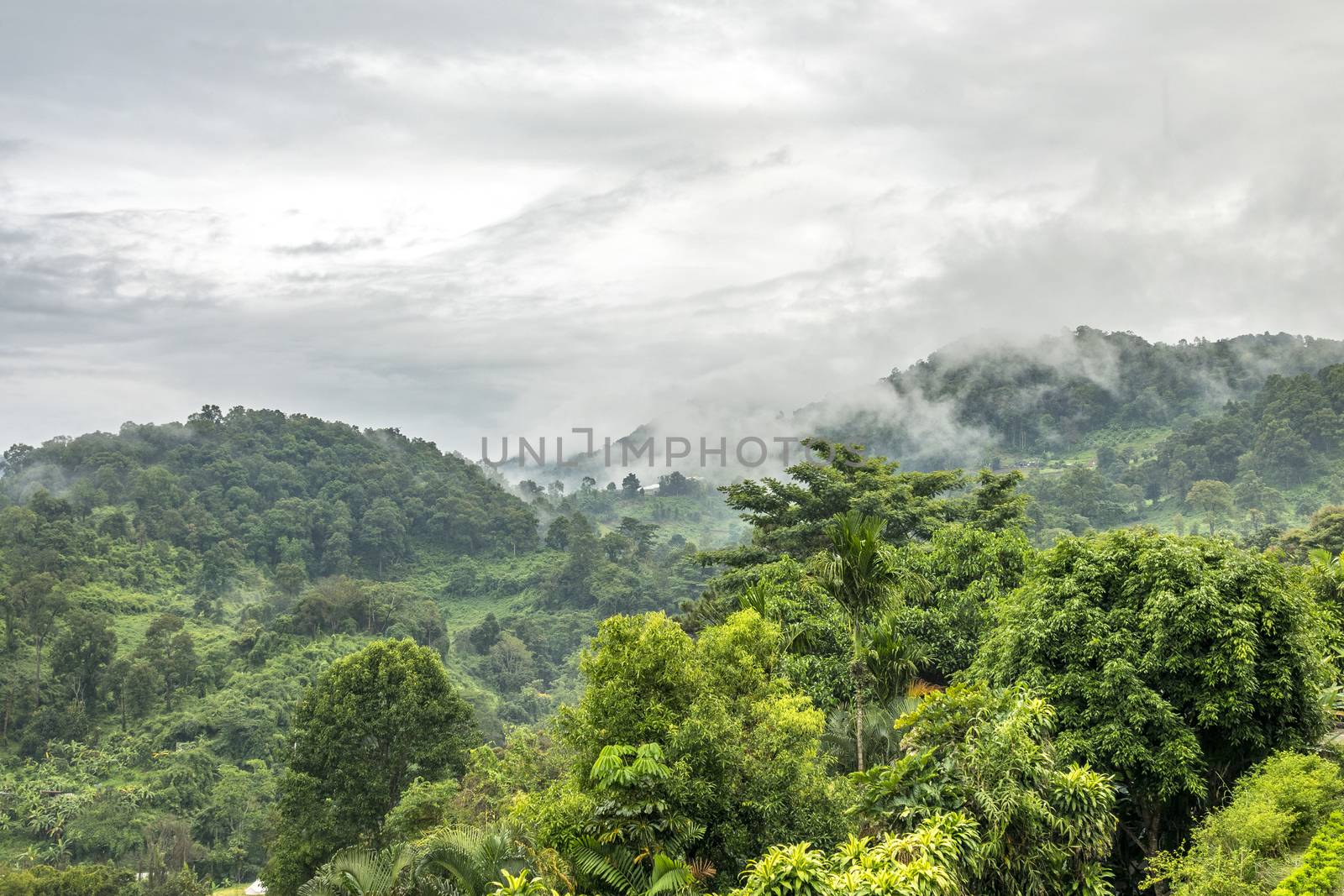 The cloudy Doi Suthep Mountain in Chiang Mai, Thailand.