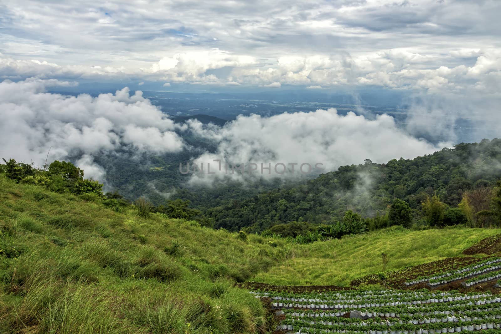 The Mon Cheam mountain of Chiang Mai, Thailand.