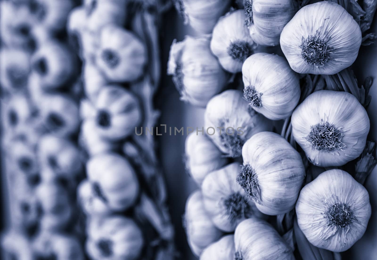 Harrow of garlic in a market by esebene