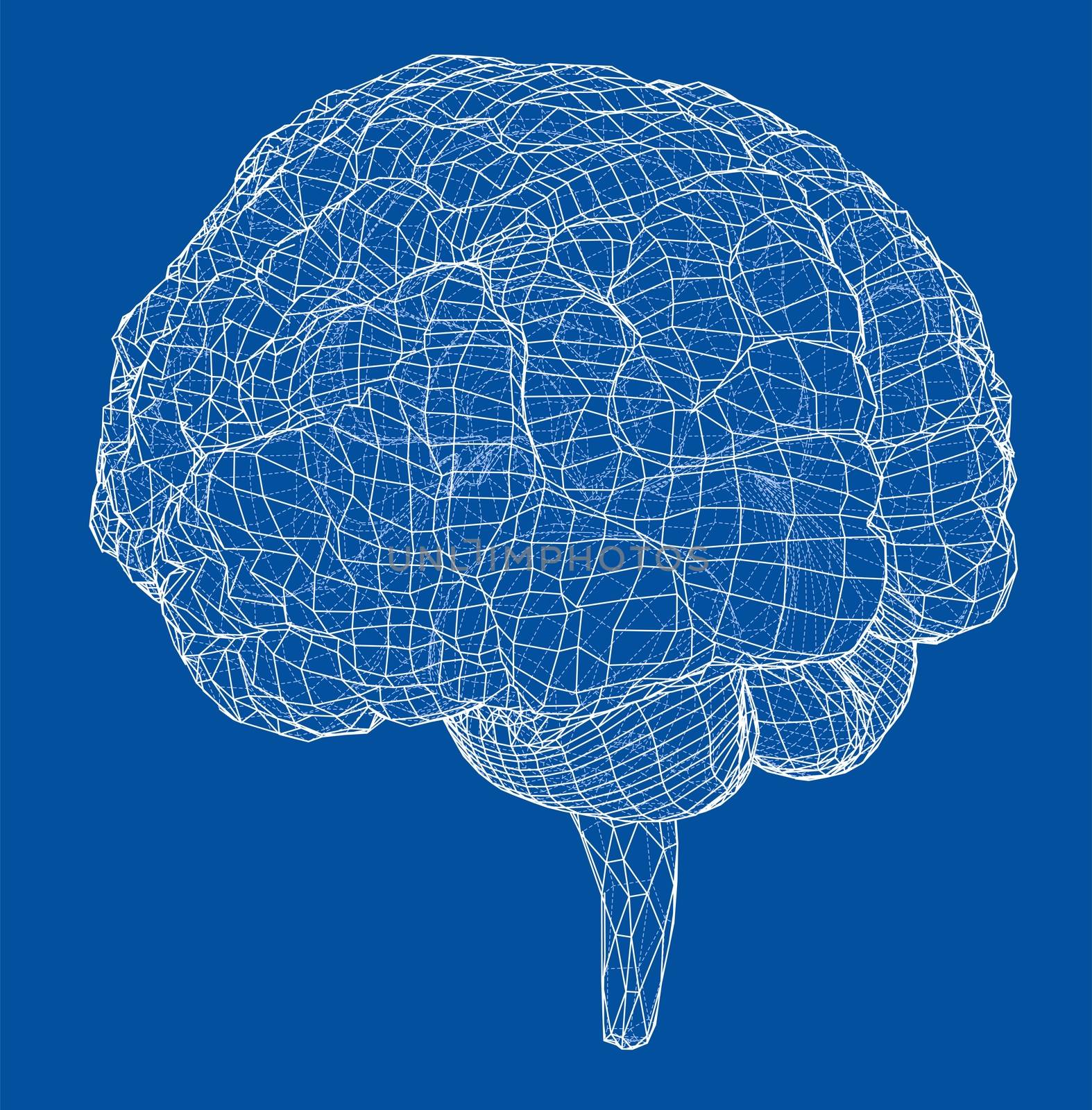 3D outline brain. Wire-frame style. 3d illustration