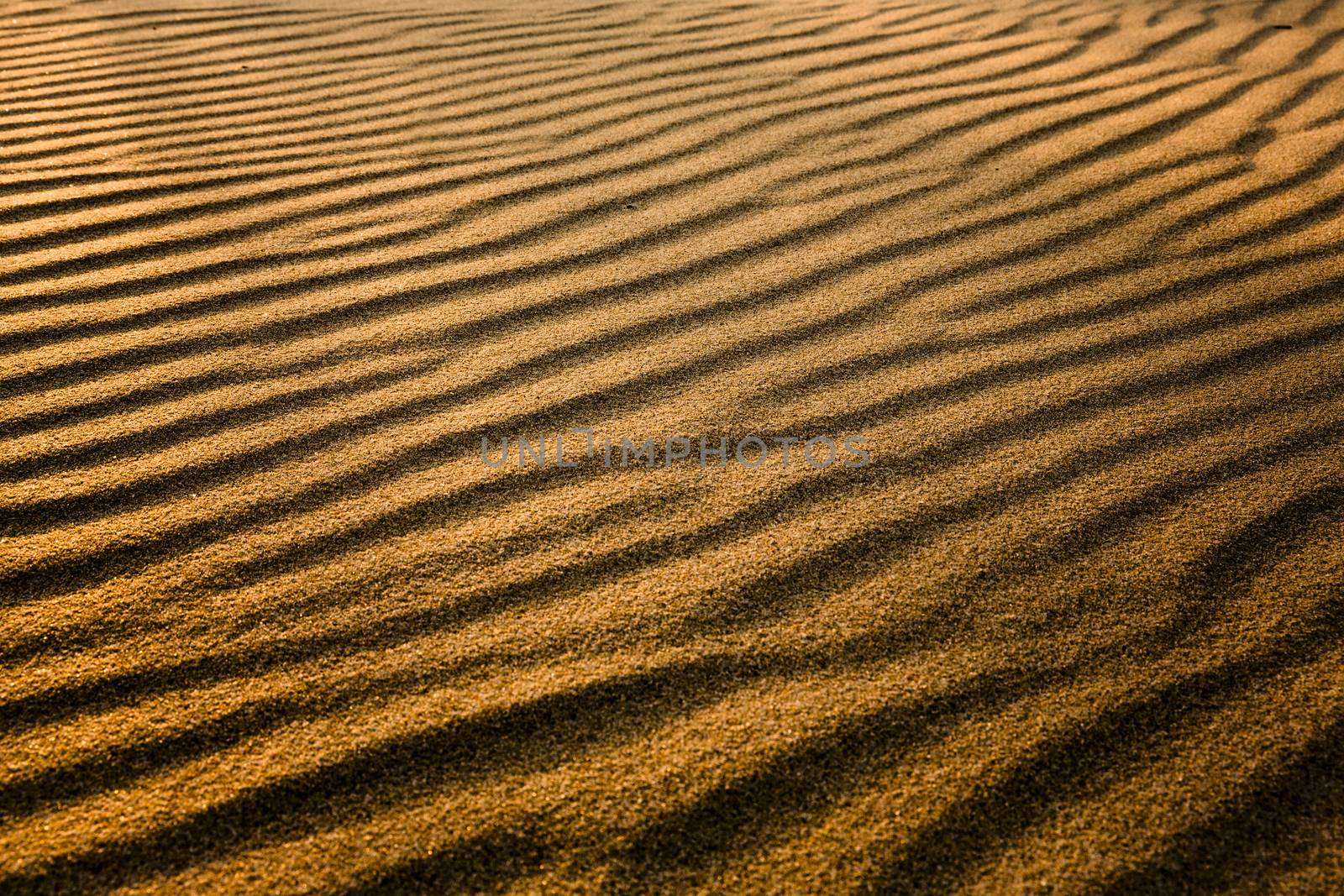 Beautiful lansdscape view of golden sand