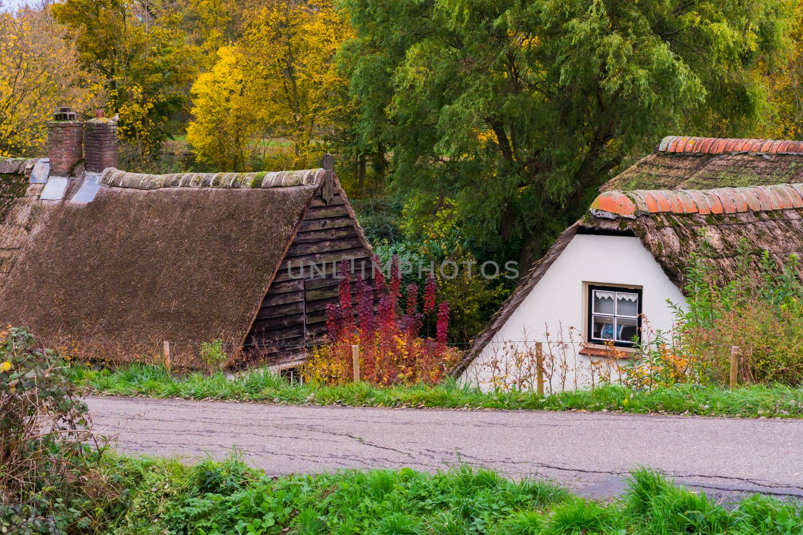 a countryside road with old typical dutch cottages with thatched rooftops