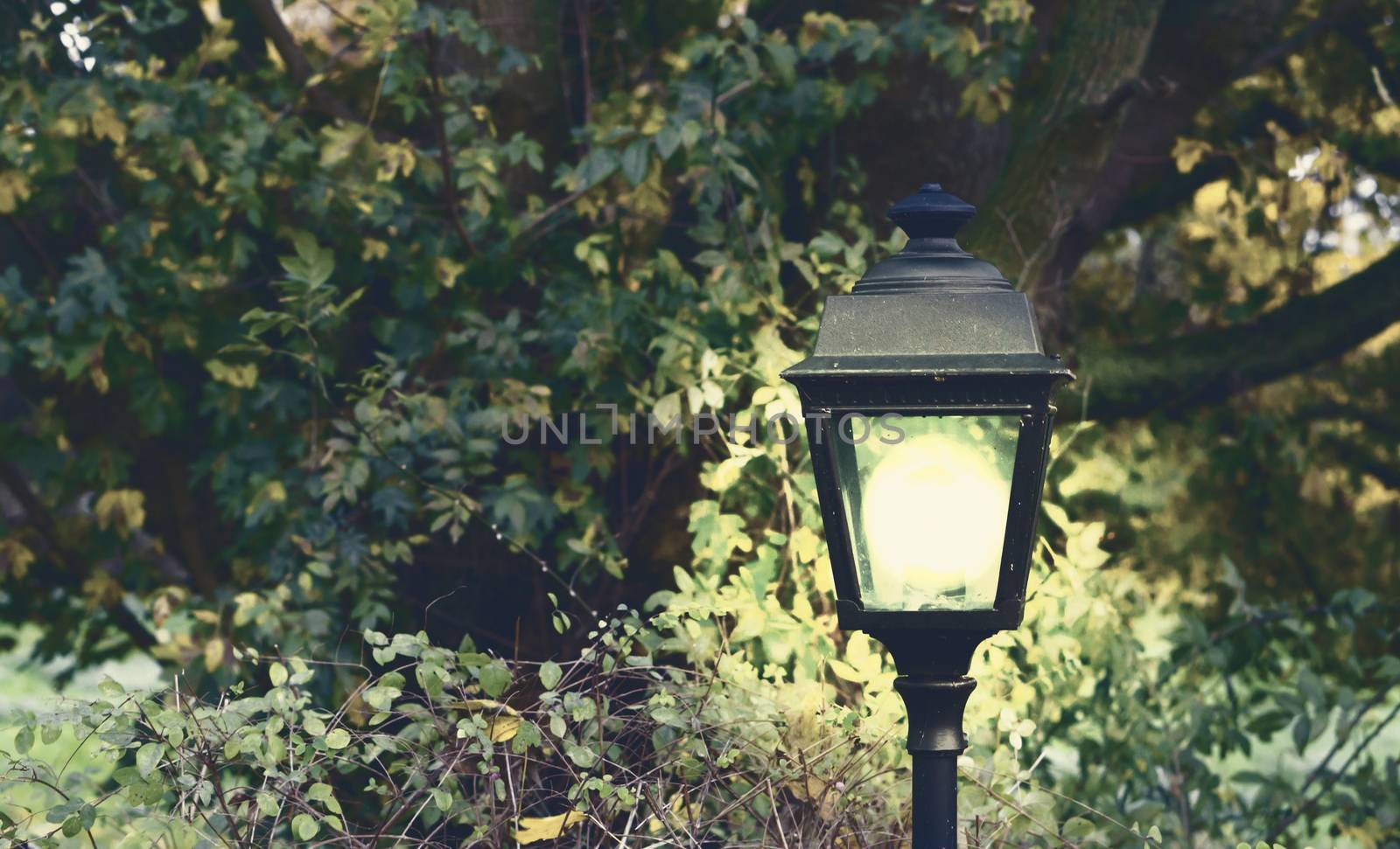 lighted modern and classical lantern shining bright light in at night in the dark garden