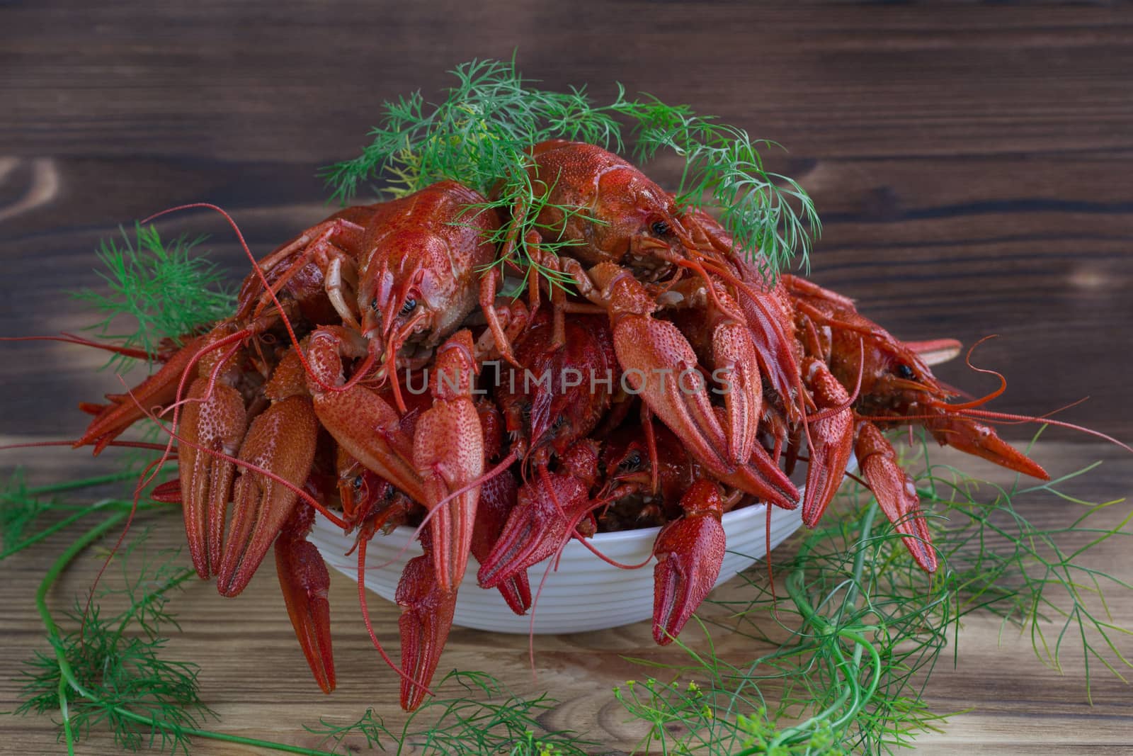 Plate of red boiled crayfishes with claws and fennel on wooden background