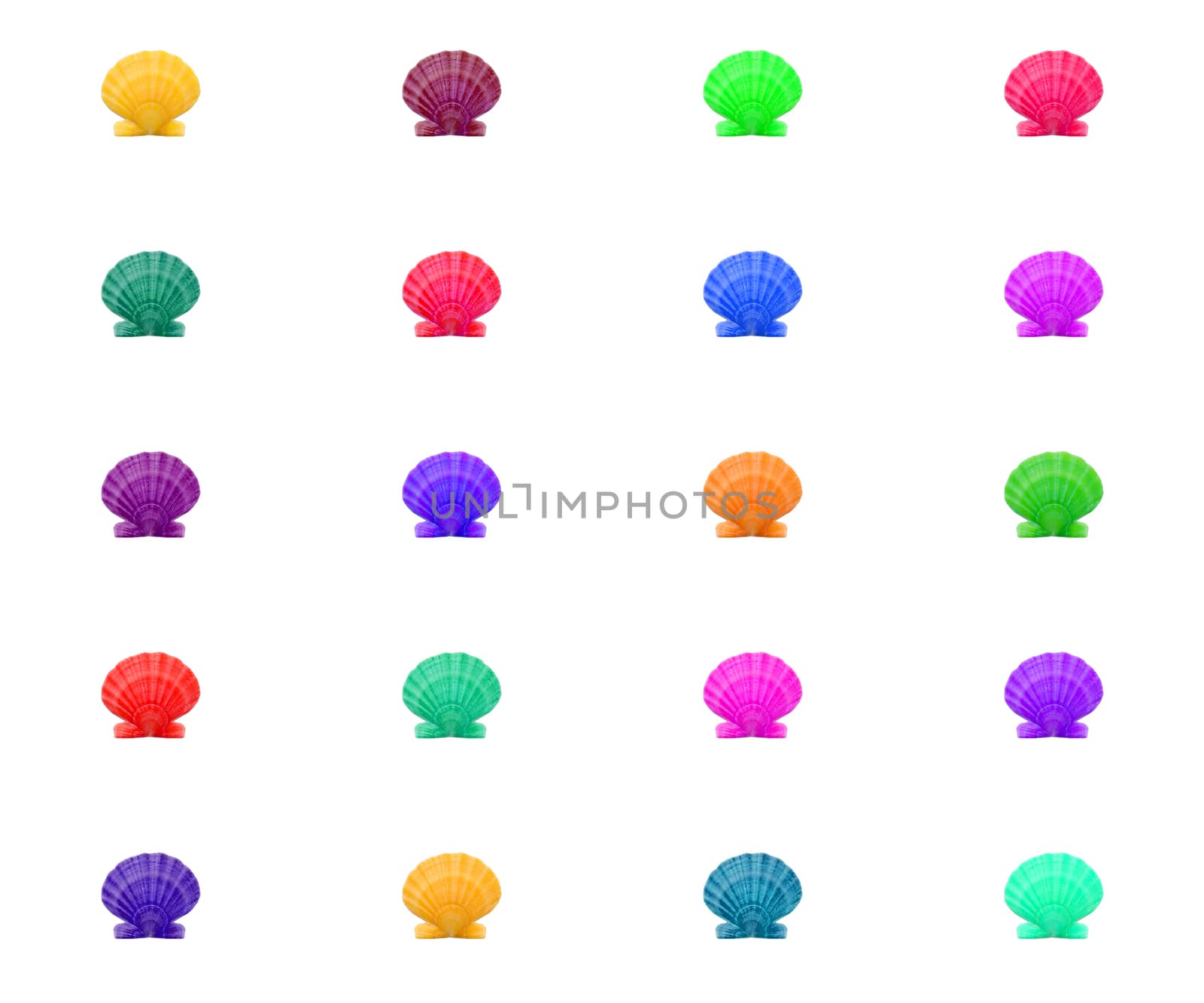 Bright colorful pattern background of multicolred sea shells in grid