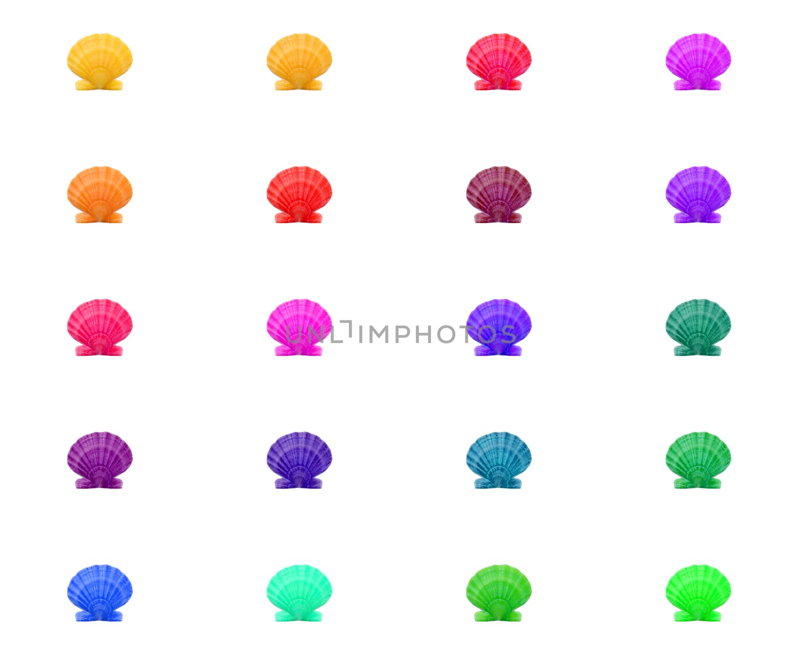 Bright colorful pattern background of multicolred shells rainbow grid