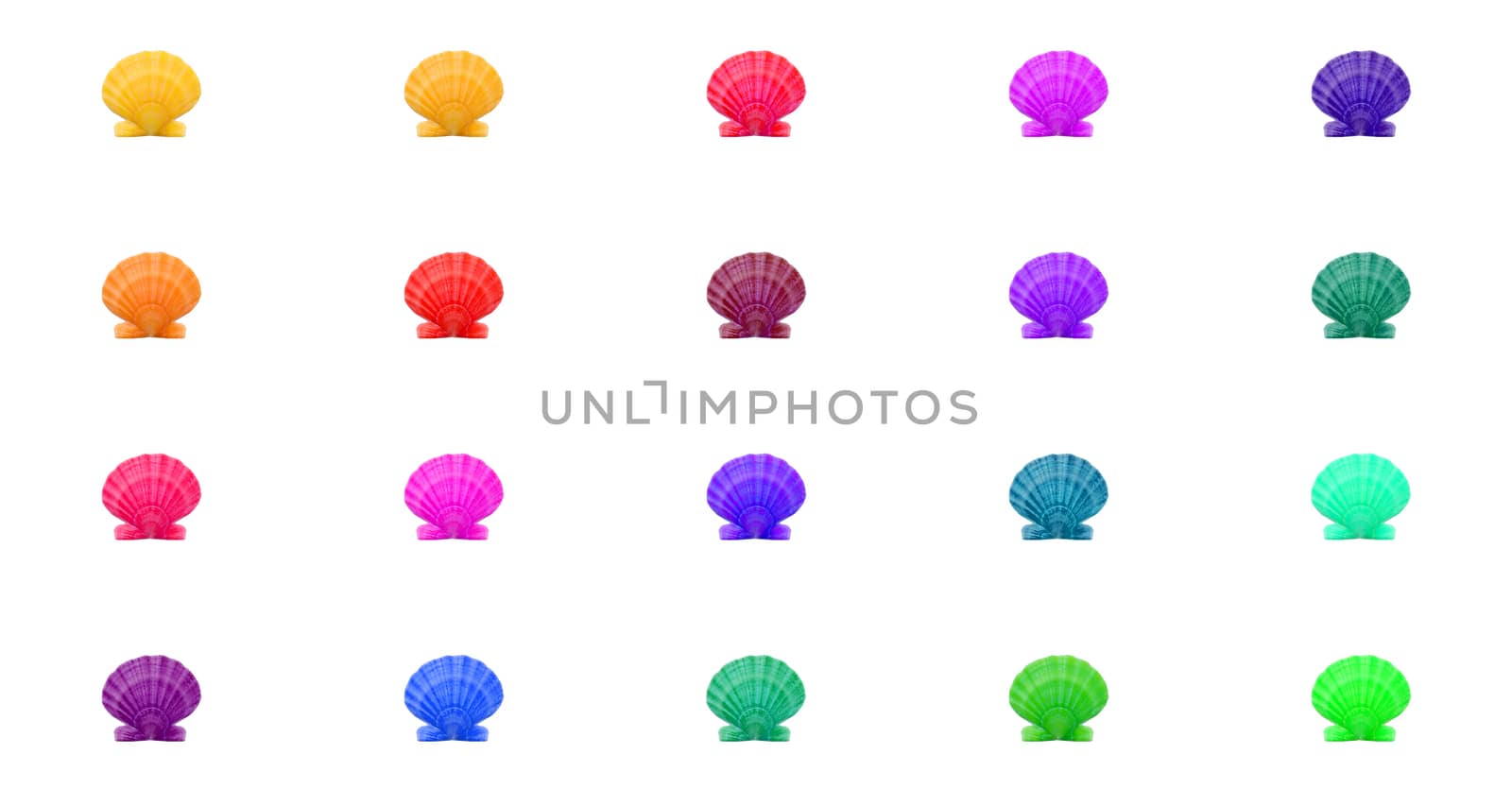 Bright rainbow colorful pattern background of multicolred sea shells grid