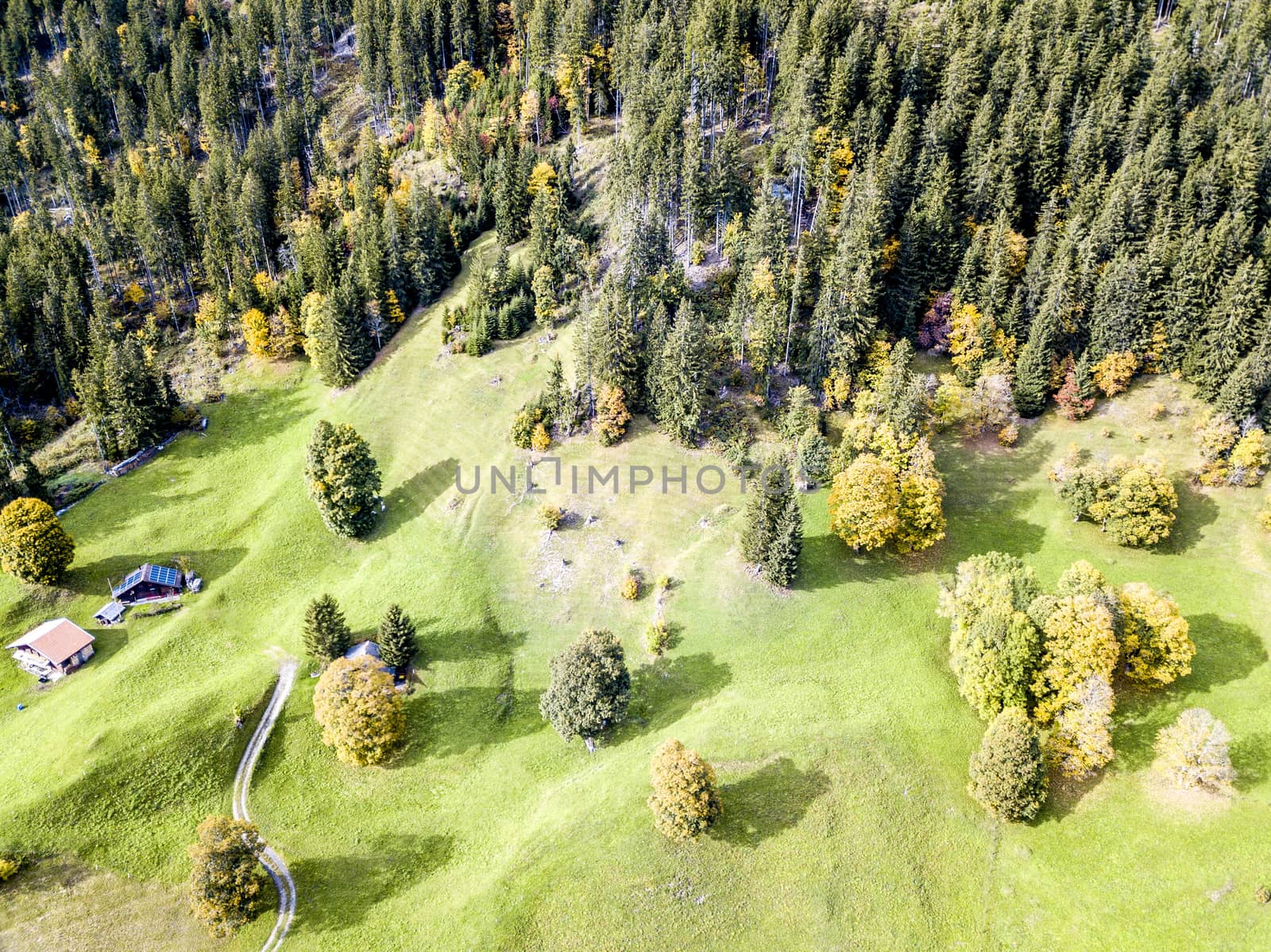 The bird's eye view of the dream like swiss alpine mountain landscape in Grindelwald of Switzerland.