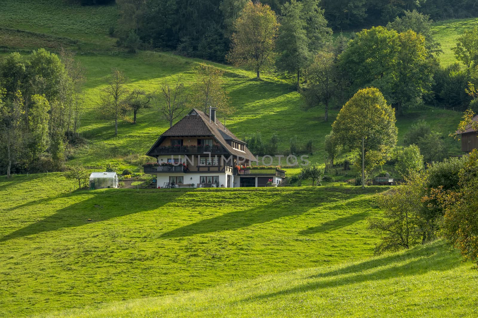 The farmland in Kniebis town of Germany.