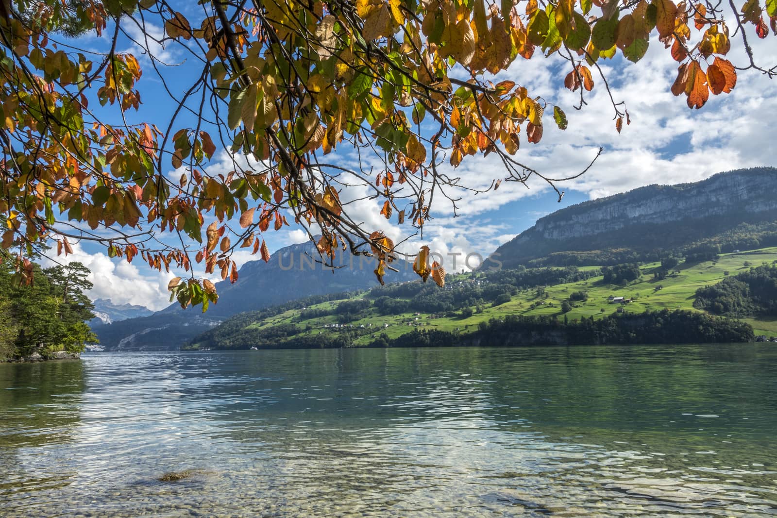 the Lucerne lake view neer Gersau in Autumn, Switzerland.