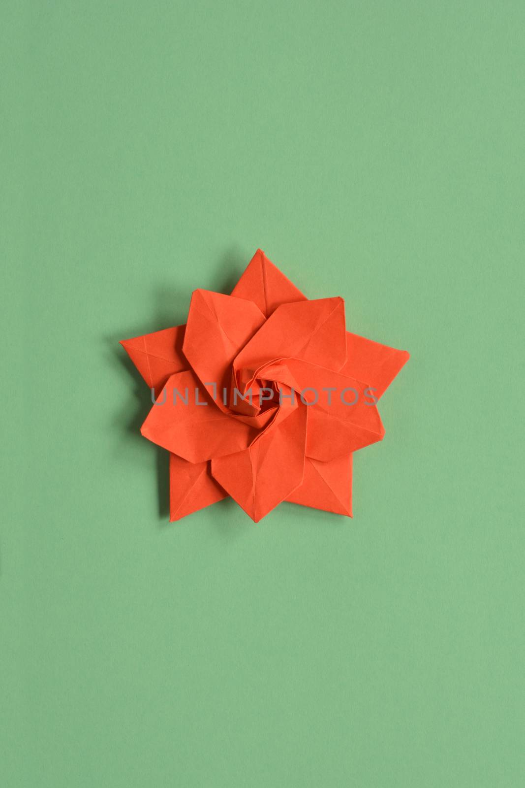 Red origami paper star on green background