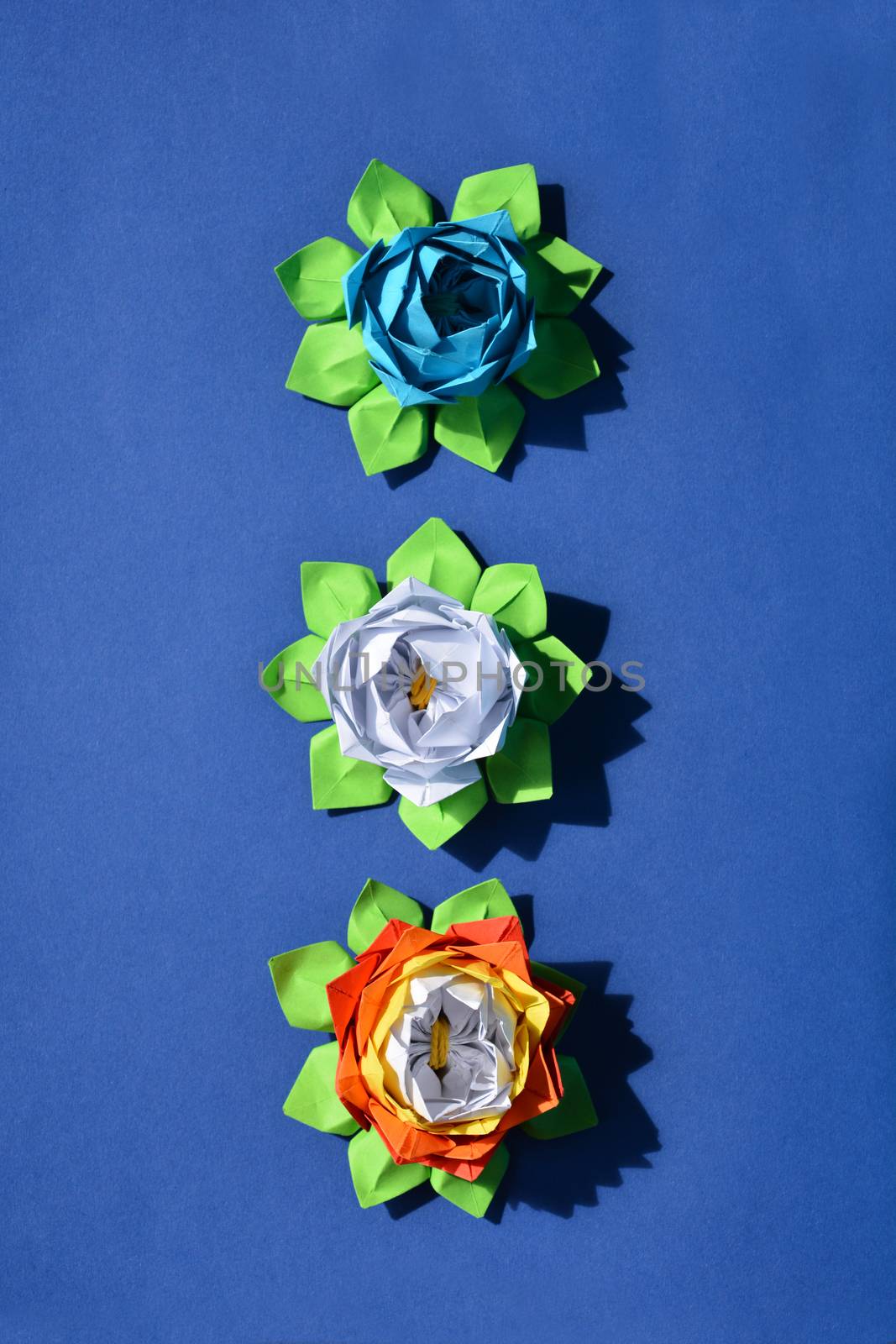 Three origami paper water lily flowers on blue background