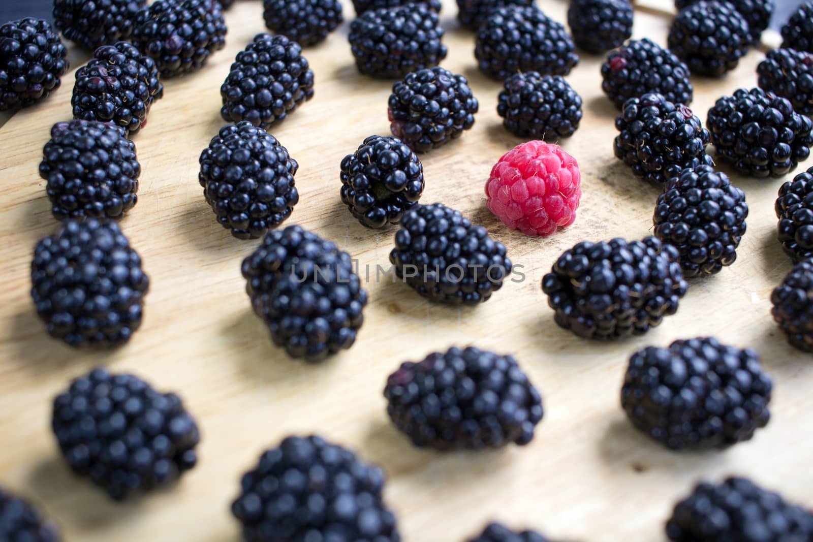 Tasty juicy berries set of many blackberries and one raspberry among them on wooden background