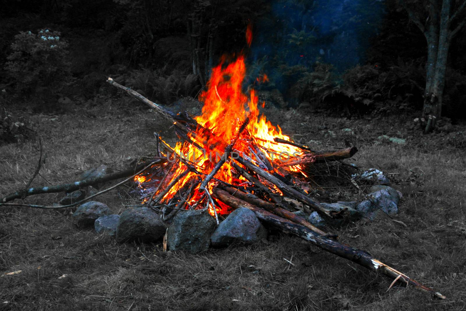 Saturated bonfire, black and white background.