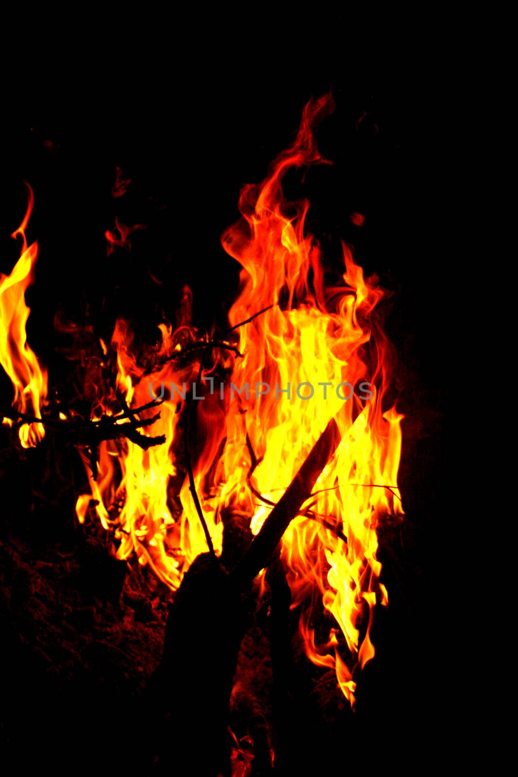 Hot flames in the dark. Photo of fire burning at night, surrounded by darkness.