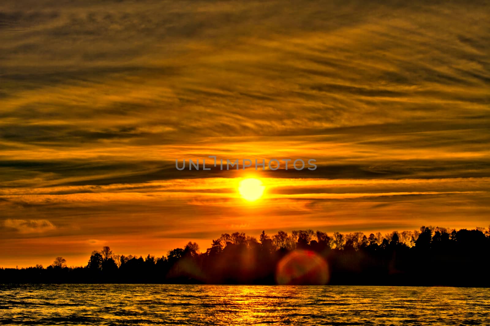 Colorful sun above the trees just minutes before setting. Bright light causing a flare on the photo.