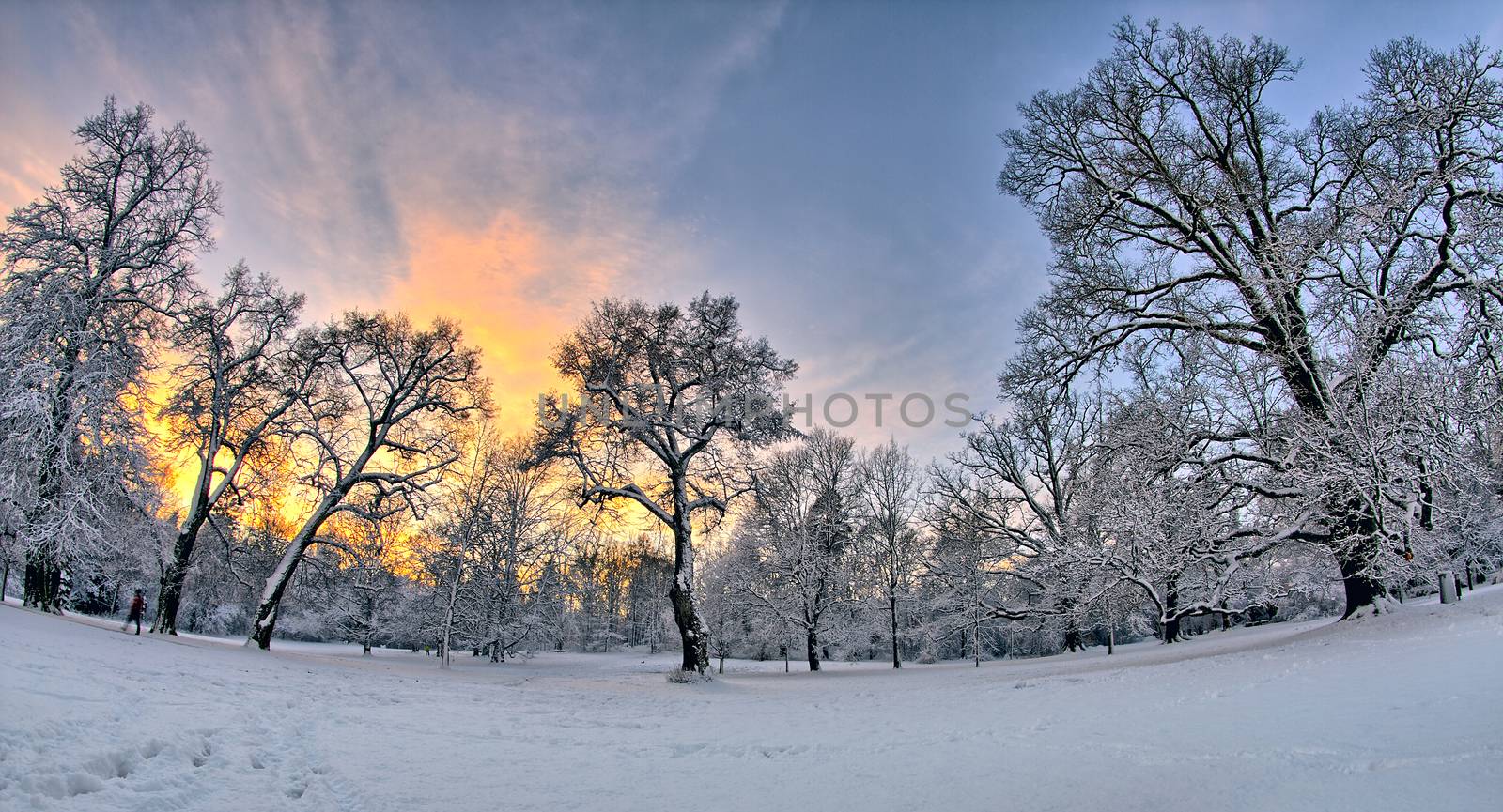 Snowy sunset in the park