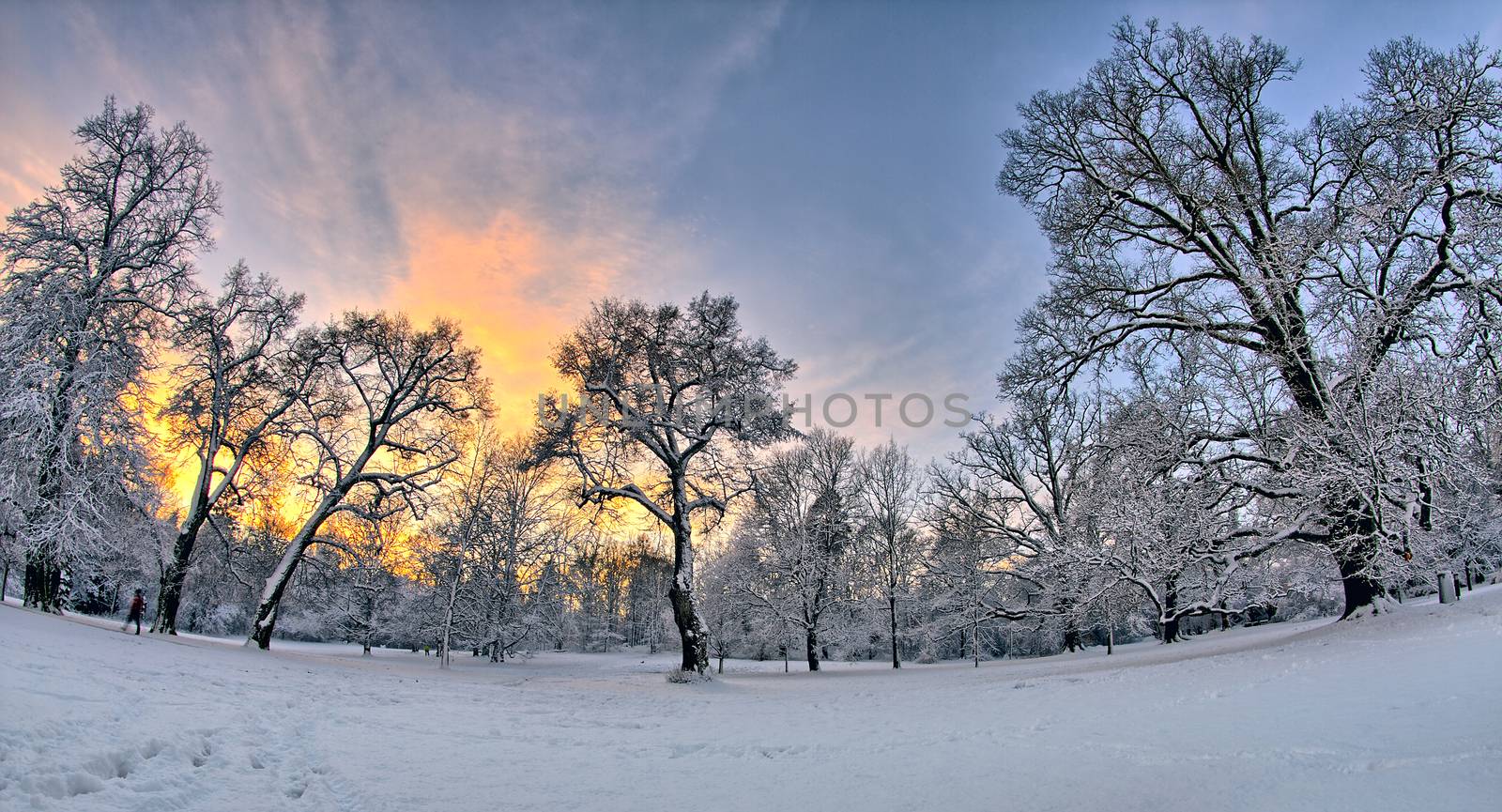 Sunset in the park by Valokuva24