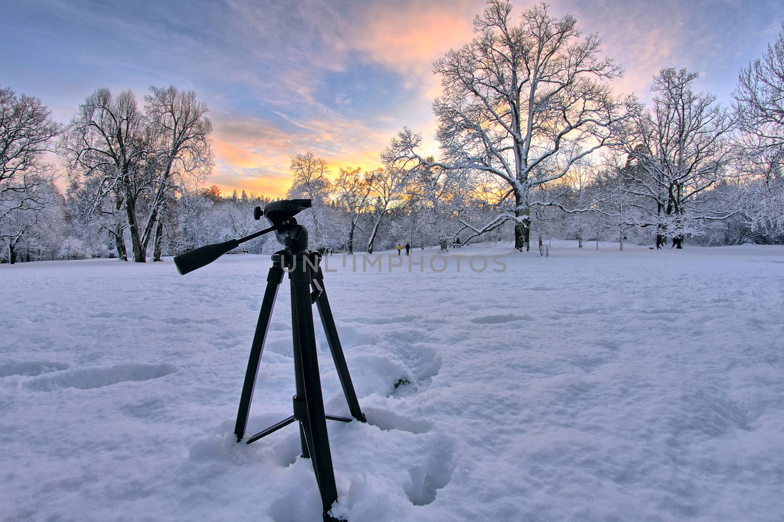 Behind the scenes of a photoshoot of landscape photographer. Capturing of a stunning winter sunset in the snowy forest. Tripod still standing in the snow.