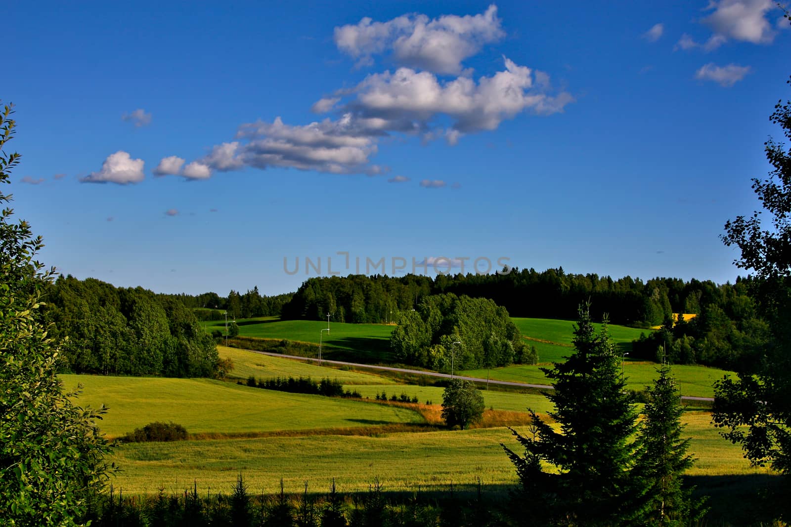 A beautiful and warm summer day in the country. Green fields, some forest and blue sky photographed from a higher ground.