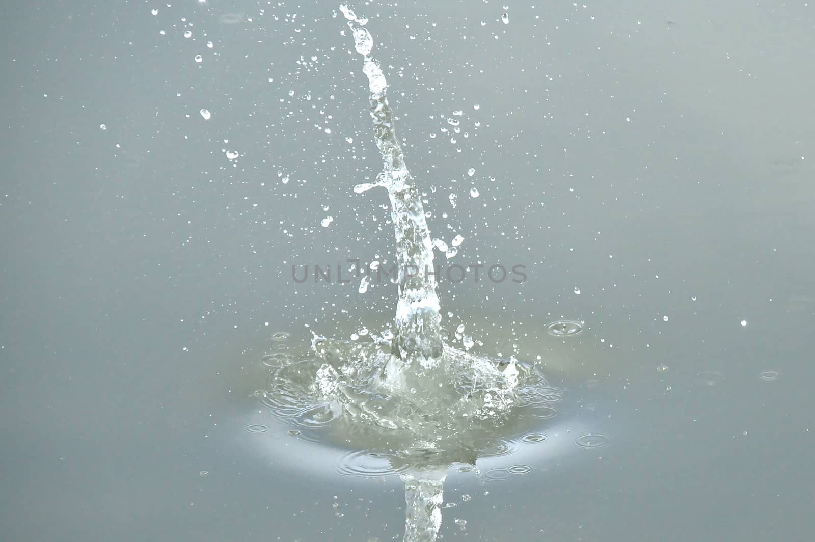 Splash by Valokuva24