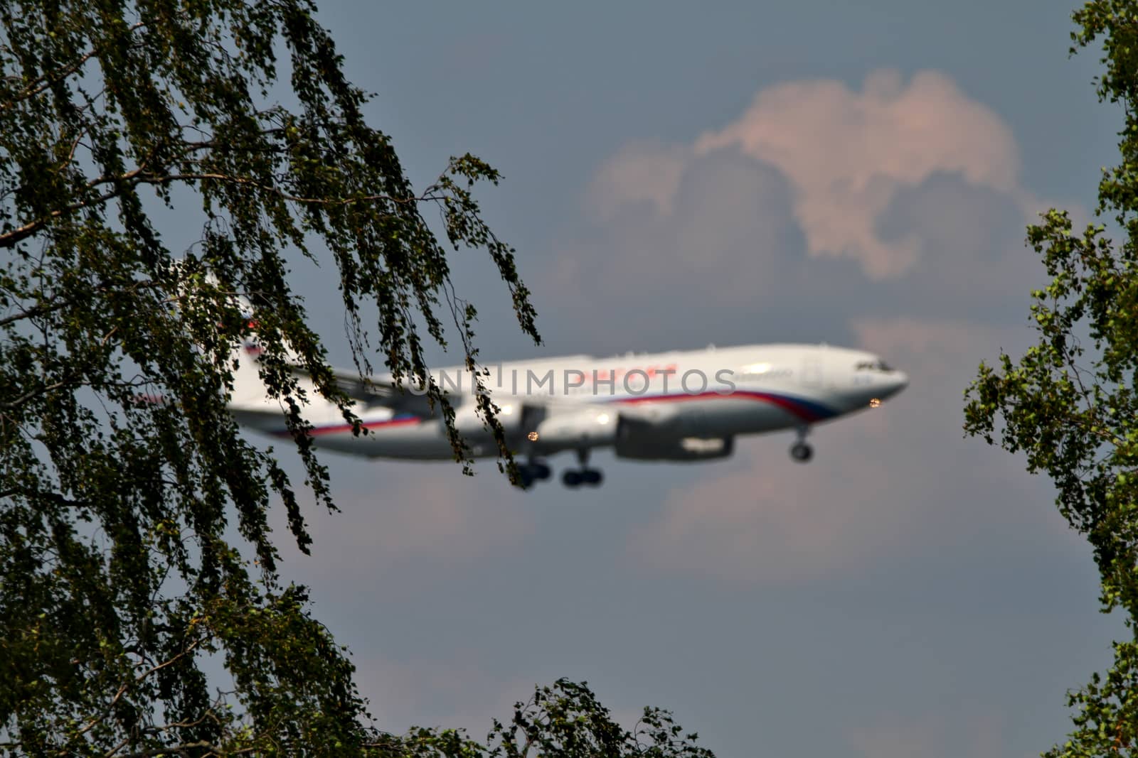 A white airplane with red stripes preparing to land. Photo taken through the trees, airplane blurred on background.